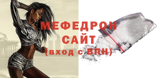 мдпв Бородино