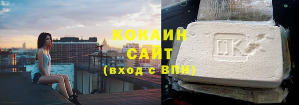 мдпв Бородино
