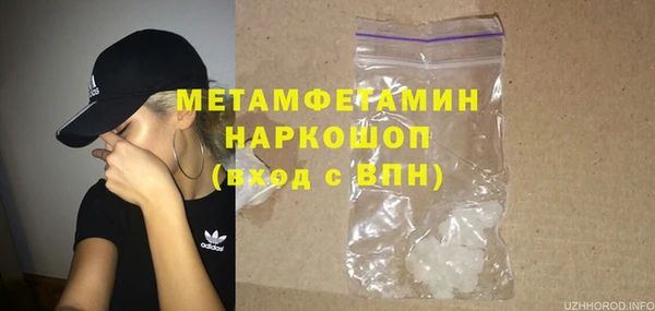 мдпв Бородино