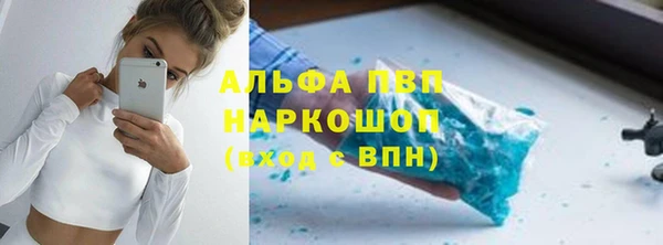 мдпв Бородино