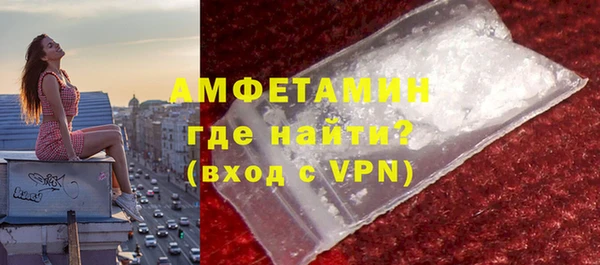 мдпв Бородино