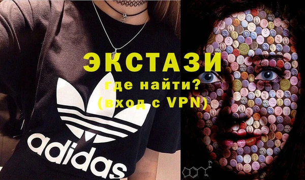 мдпв Бородино