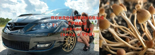 мдпв Бородино