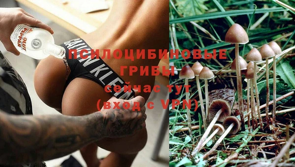 синтетический гашиш Бронницы