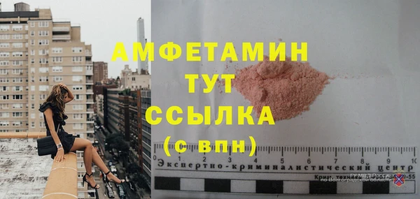 мдпв Бородино