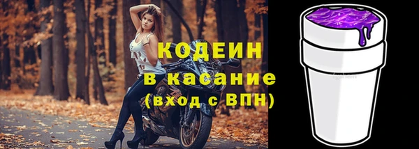 мдпв Бородино