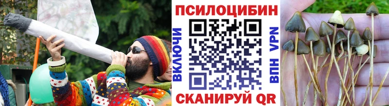 Псилоцибиновые грибы Cubensis  дарнет шоп  Ахтырский 